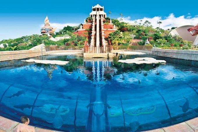 Apartment Tenerifeopenhome Luxury Prestige In Playa Americas *